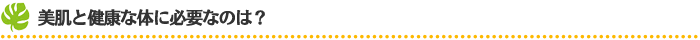 美肌と健康な体に必要なのは？